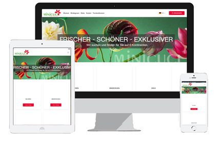 shop-minicuci Webshop-Minicuci-Browser